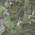 Unwanted squatter reported at Frying Pan Lane home