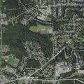 Juveniles detained after vehicle theft attempt