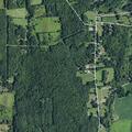 Woman with abdominal pain at Turnpike Road