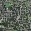 Loose dog reported chasing children near Fairfield Ave