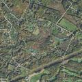 Injured deer reported in yard on Union Road