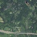 Elderly woman falls and hits head on Log Cabin Road