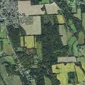 Man with back pain near Downs Road in Weedsport
