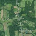 74-year-old woman with head injury from fall in Herkimer