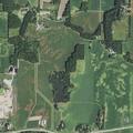 Deer injures girl on Highway 12 in Cottage Grove