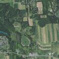 Animal complaint near State Route 5 in Elbridge