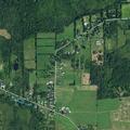 Male bitten by dog with minor head wound in Clarence