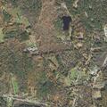 Domestic disturbance involving woman in crisis