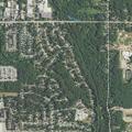 71-year-old woman fell and had seizure activity