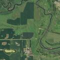 Deer and pickup reported in roadway near 397th Avenue