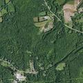 Person sick near Route 29 off Pine Grove Lane