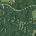 Domestic dispute reported at Armer Road home