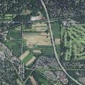 93-year-old female with head injury after fall in Pittsford