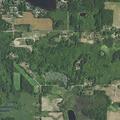 Deputy asked to follow up on loose pigs report