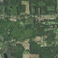 Report of damage to yard at Youngs Road home