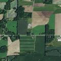 26-year-old male with possible allergic reaction in Elba