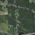 19-year-old female treated for chest pain in Kirkville
