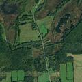 Disturbance between juvenile females near Albion Road