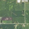 Loose dog reported near 27th Avenue South