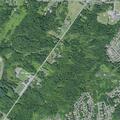 90s woman suffers head injury from fall on Chateau Drive