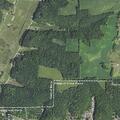 Report of black bear near Center Street home