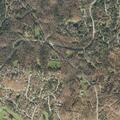 Tree cleared from Winhall Hollow Road