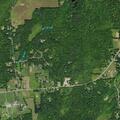 Caller performs CPR on drowning dog near Greenfield