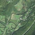 Teen male suffers severe allergic reaction in Stockbridge