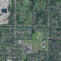 82-year-old female with blood in urine in Penfield