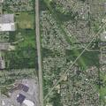 Teen girl bitten during fight at local park
