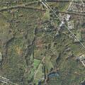 Welfare check for groggy woman near Medbury Road