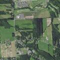 84-year-old woman with chest pain at Patchett Road