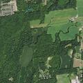 Person suffered fall and allergic reaction at French Meadow