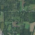 Male fell near Lewis Road; EMS call later canceled