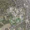 Person reported sick near Springfield Street