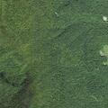 79-year-old woman with general illness on Beartown Road