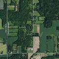 Foster child accused of stealing purse at home near E Lee Rd