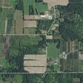 Female experiences allergic reaction to cider in Williamson