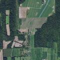 Report of possible neglected animal in Sodus