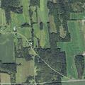 Elderly person assisted at home in Red Creek