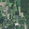 Woman fell and reports shoulder pain near shaker road in North Rose