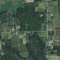Dog bite incident near Congdon Rd, Williamson
