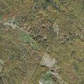 Person fell from horse with back injury in Chichester