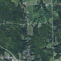 Man stung by bees at Kelly Road, Sodus