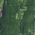 Vehicle hits deer on County Route 153 in Salem