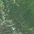 Male injured mountain biking in Dorset trail