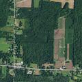 Teen female actively seizing at Harris Farm Market