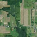 55-year-old woman seizes after possible fainting