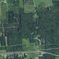 Person having allergic reaction near Pratt Road in Sodus