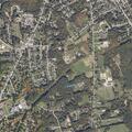 Fire crew called to cut large tree branch